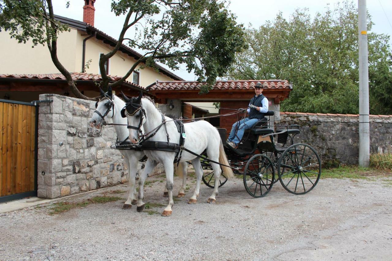 בית הארחה Country House Lokev מראה חיצוני תמונה